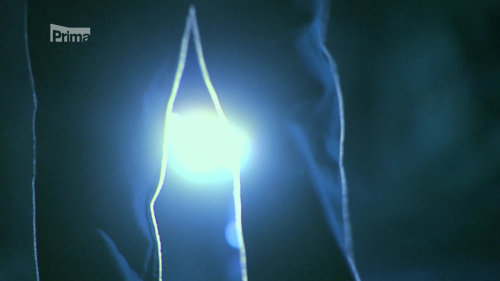 Policajti z centra (12) - upoutávka