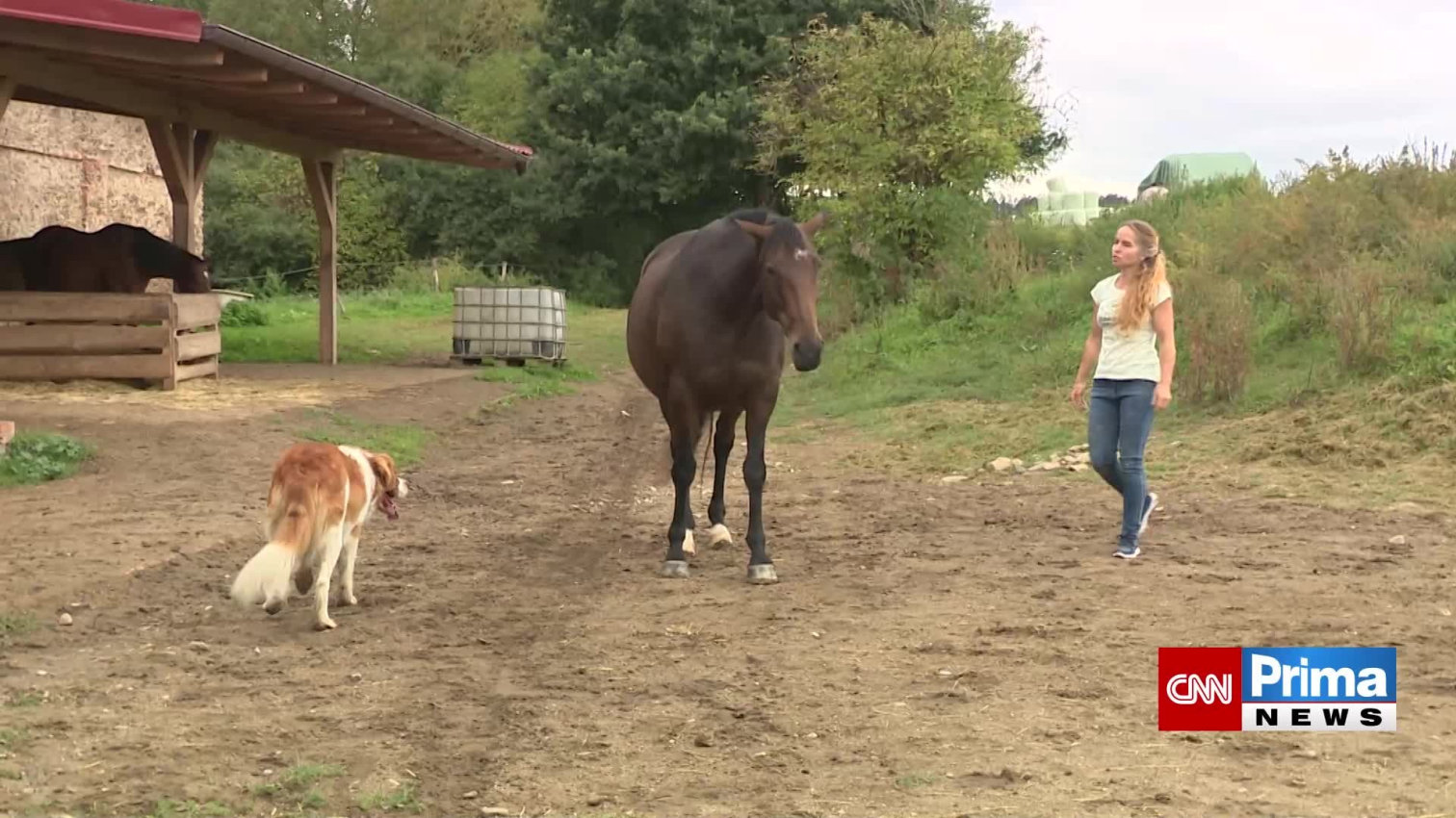 Náhled videa