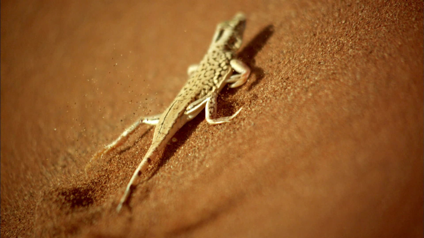 Rychlost zabíjí (1) - upoutávka