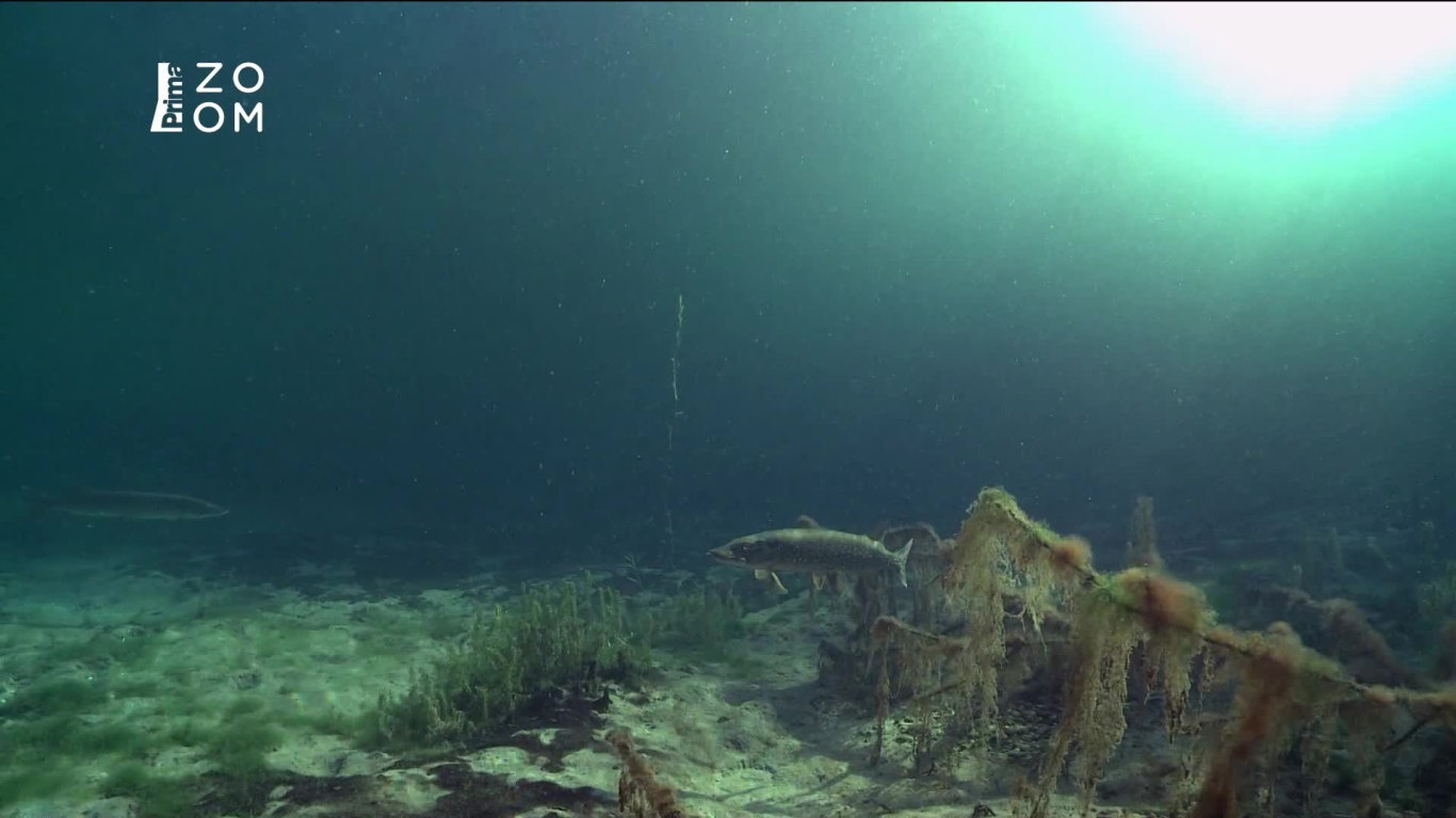 Německý vodní svět 1 - upoutávka HbbTV