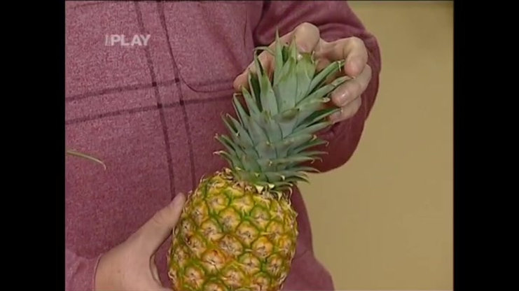Náhled videa