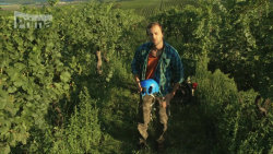 Vinaři I - Machr se zamiloval