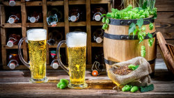 Domácí pivo