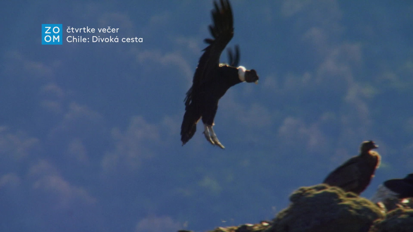 Chile: Divoká cesta (1) - upoutávka