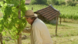 Vinaři II (5) - upoutávka