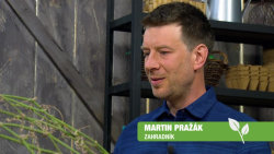 Receptář prima nápadů 2018 (13): Smilax