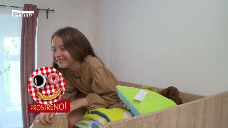 Náhled videa