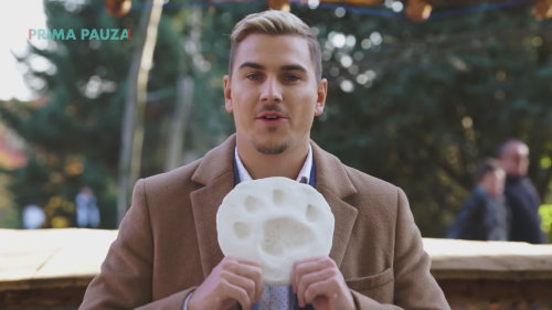 ZOO - Stopaři z vás nikdy nebudou! Surikaty zkouší herce ze zvířecích stop