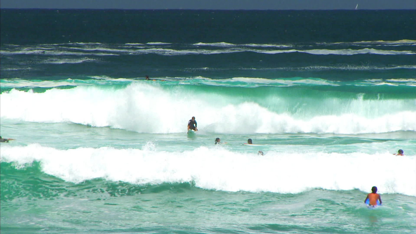 Veterinář z Bondi Beach VII (10) - upoutávka