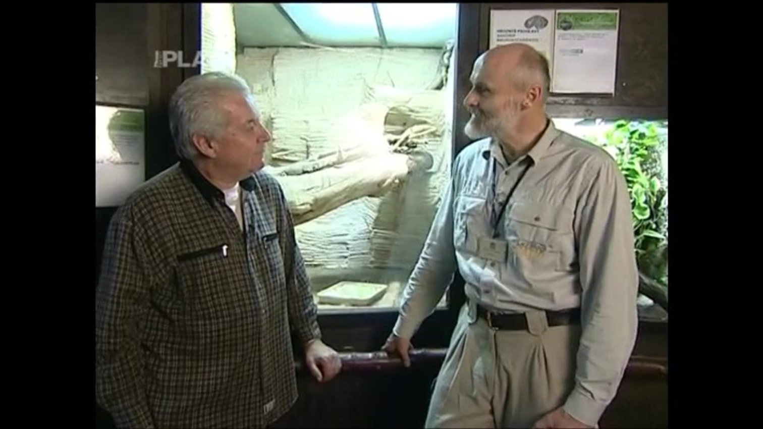 Náhled videa