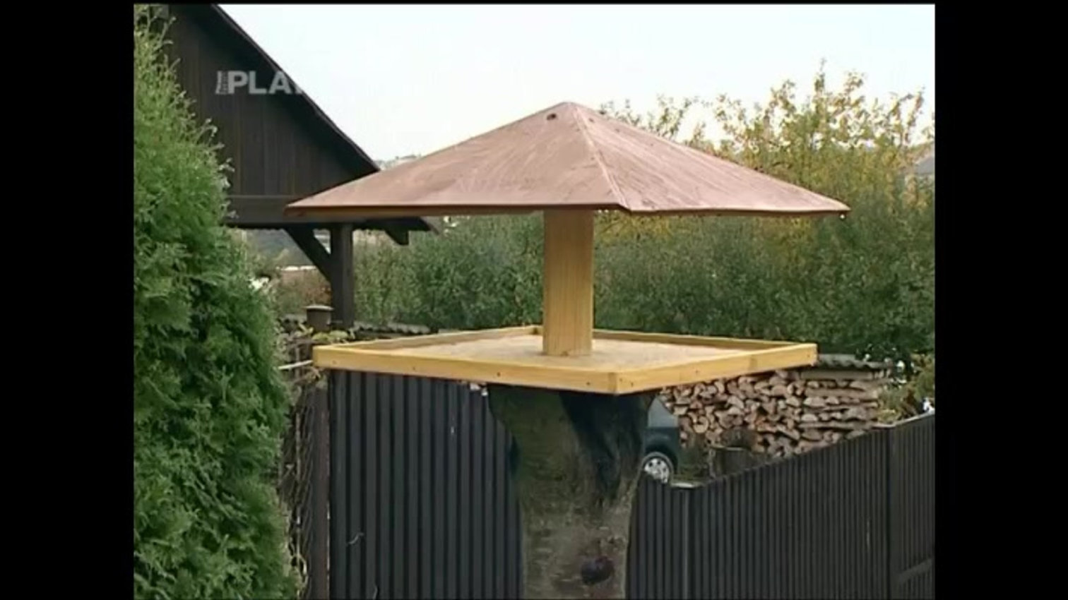 Náhled videa