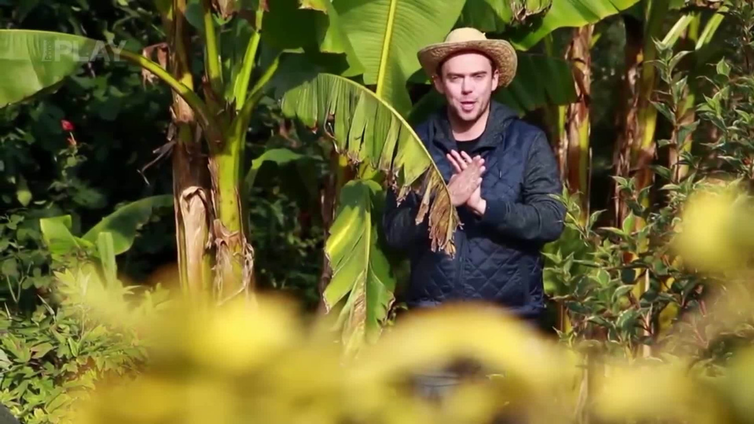 Náhled videa
