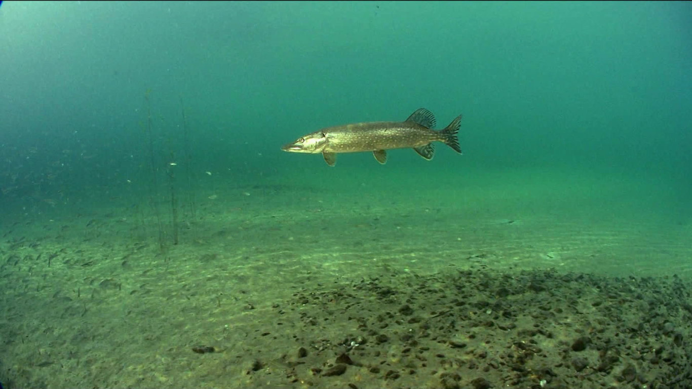 Německý vodní svět (1) - upoutávka