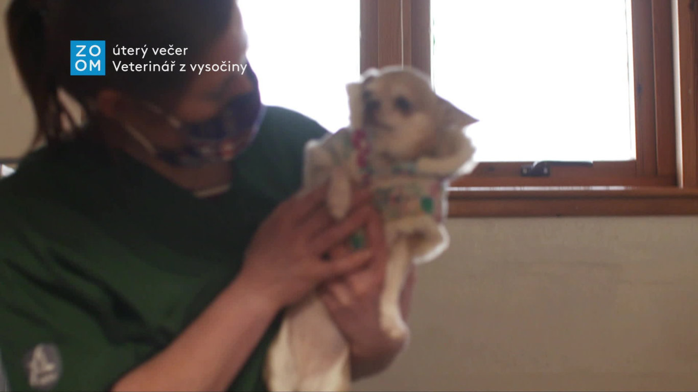 Veterinář z vysočiny II (1) - upoutávka