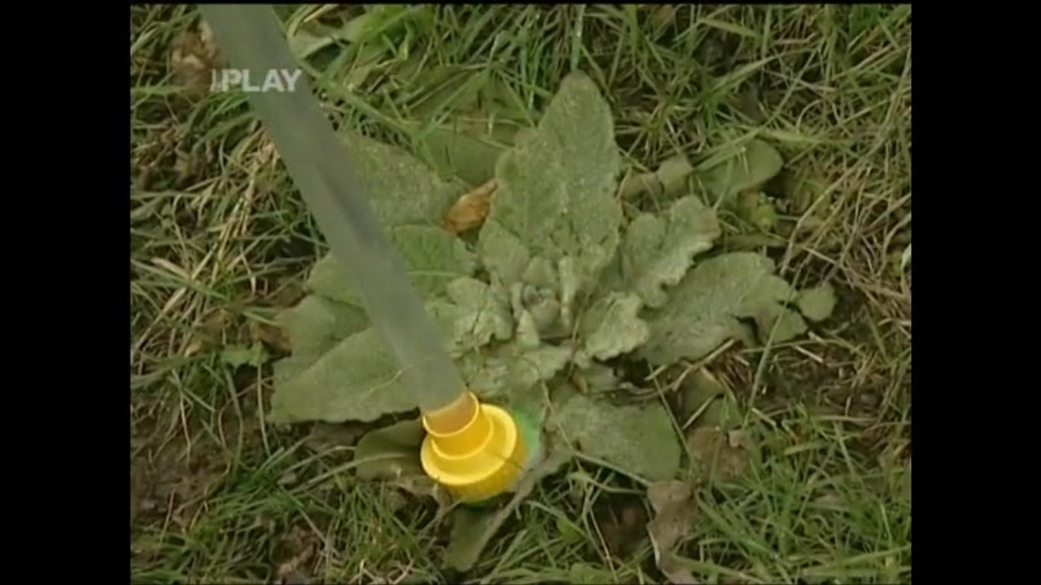 Náhled videa