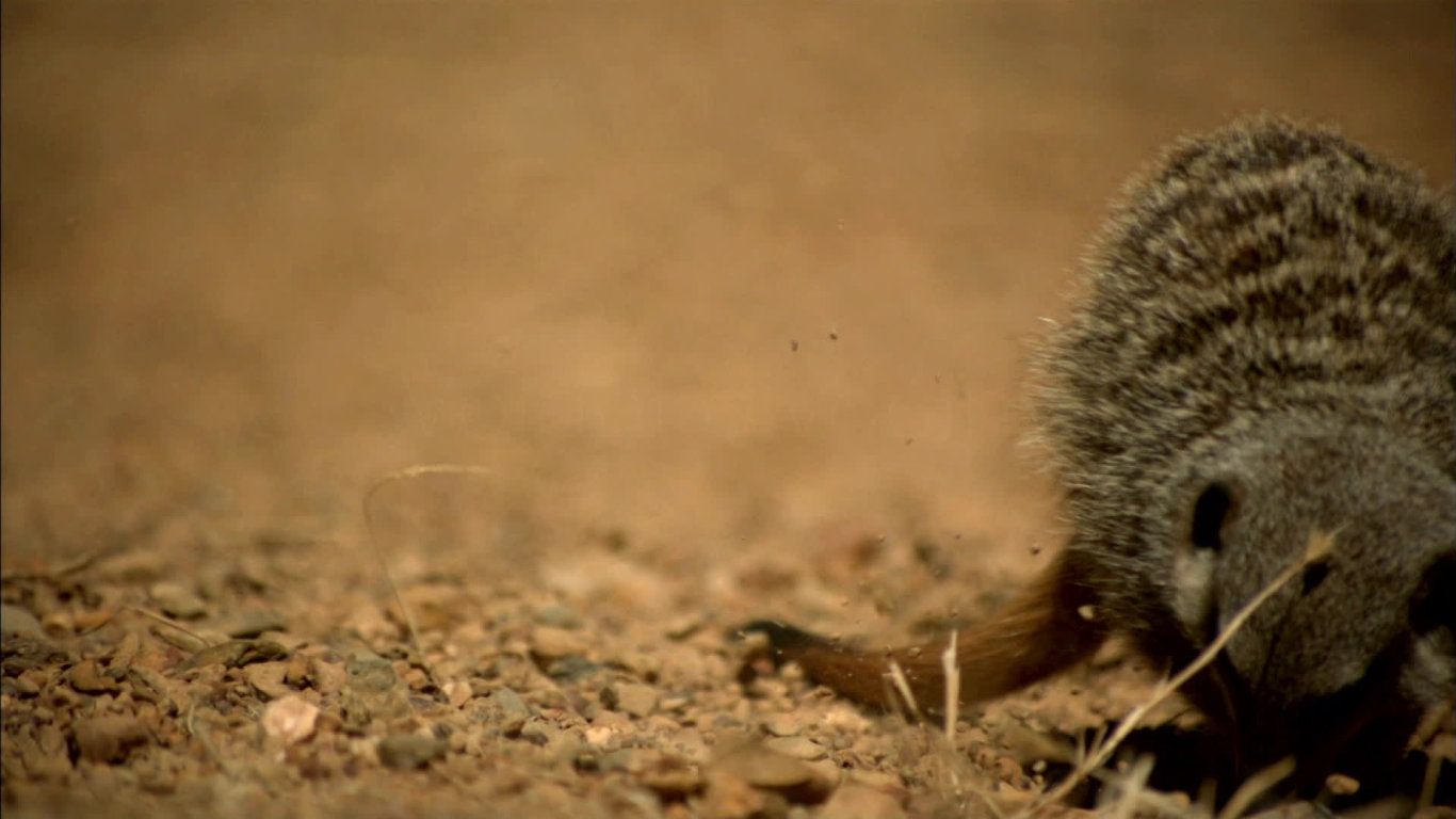 Rychlost zabíjí II (1) - upoutávka