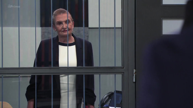 Náhled videa
