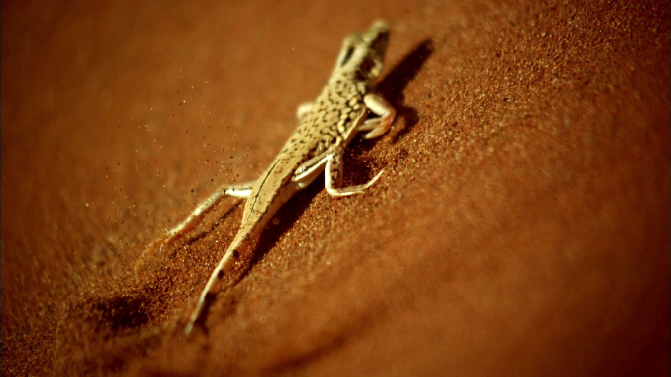 Rychlost zabíjí II (1) - upoutávka