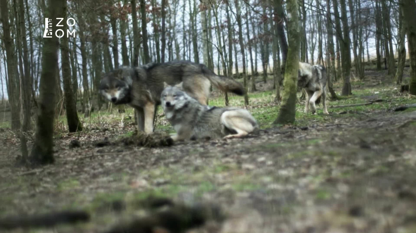 Krásy Skalistých hor (1) - Upoutávka HbbTV