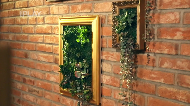 Náhled videa