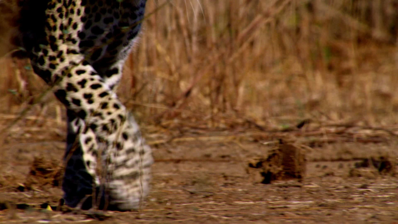 Lov (1) - upoutávka