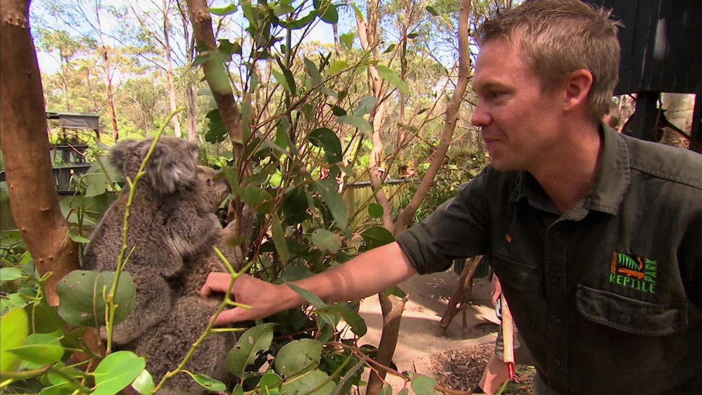 Divoký život Tima Faulknera I (1) - upoutávka