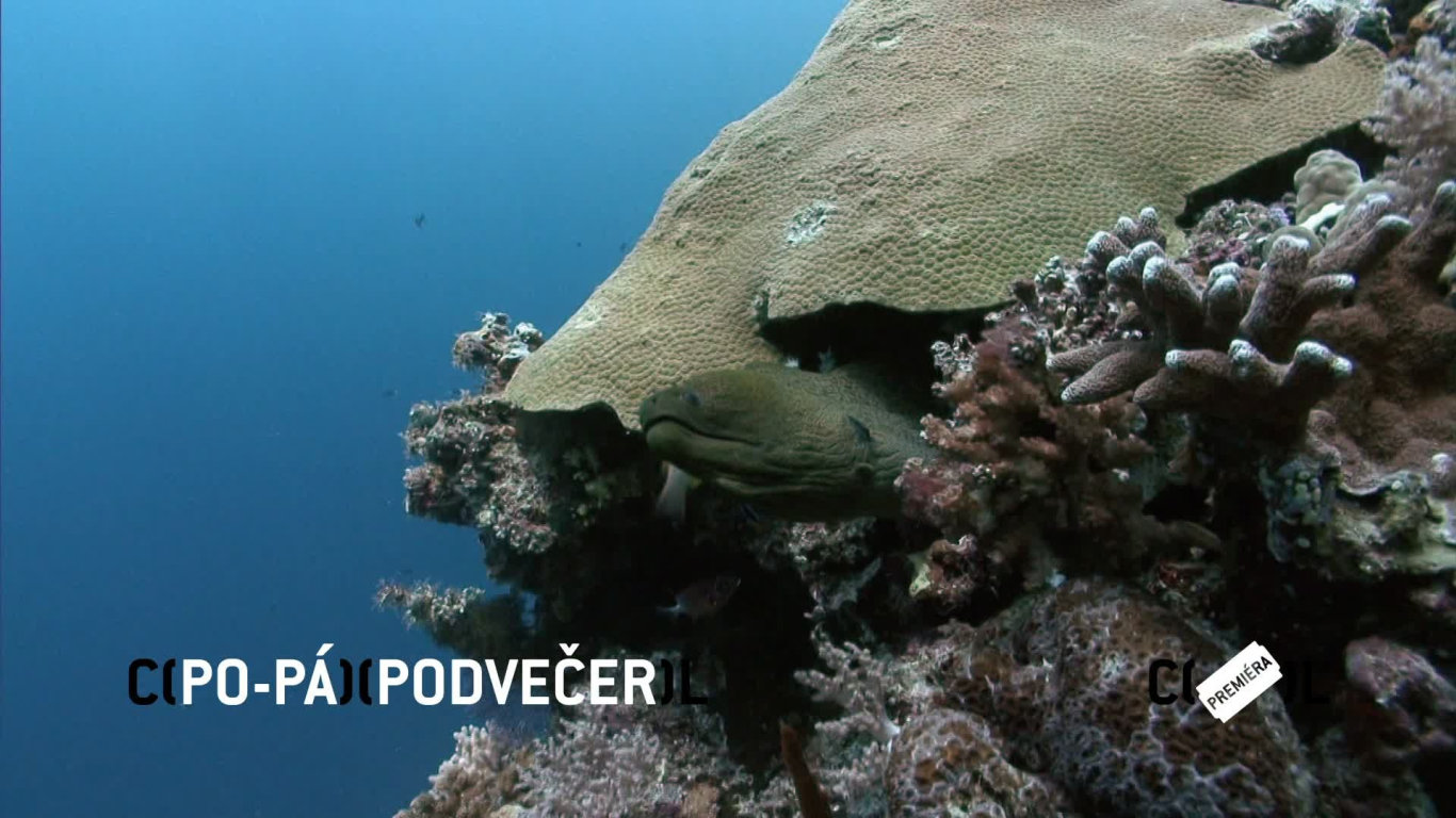 Kdo přežije: Caramoan (1) - upoutávka