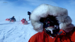 Polární putování s Petrem Horkým (2) - polární poradna