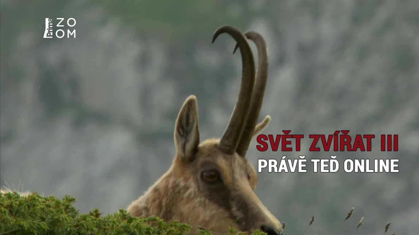 Svět zvířat III 1 - upoutávka HbbTV