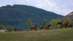 Hvězdná sezóna - Hvězdy nad hlavou 1