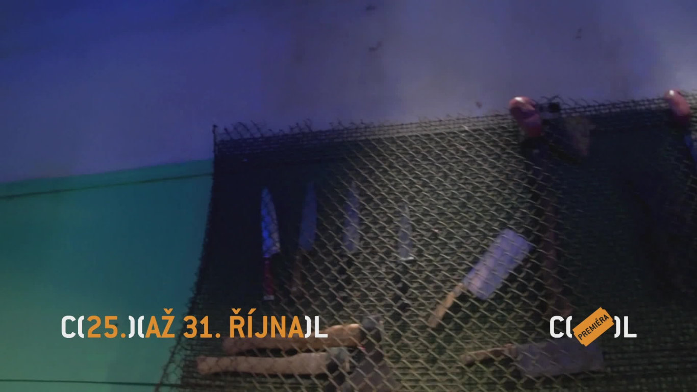 Prima COOL - Vězni hororu