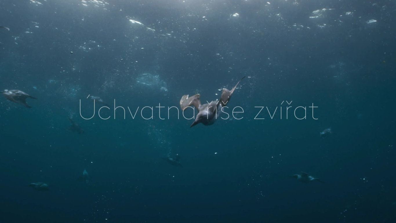 Modrá planeta II (6) - upoutávka