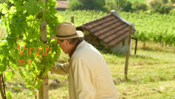 Vinaři II (5) - upoutávka