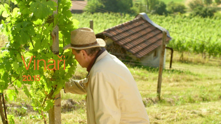 Náhled videa