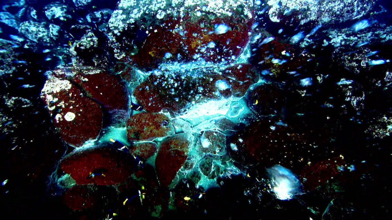 Nejpodivnější divy světa II (5) - upoutávka