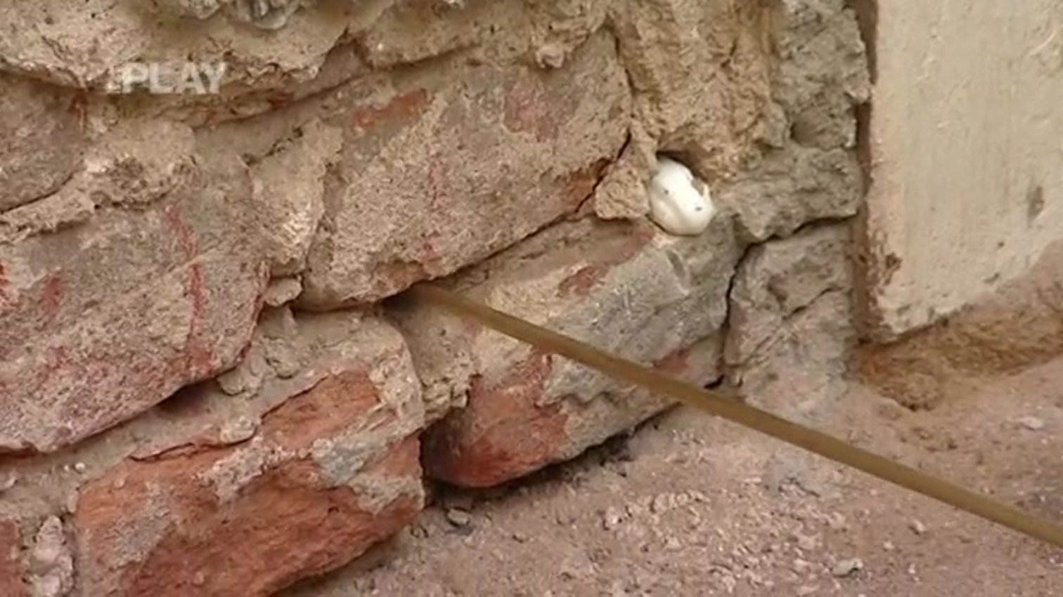 Náhled videa