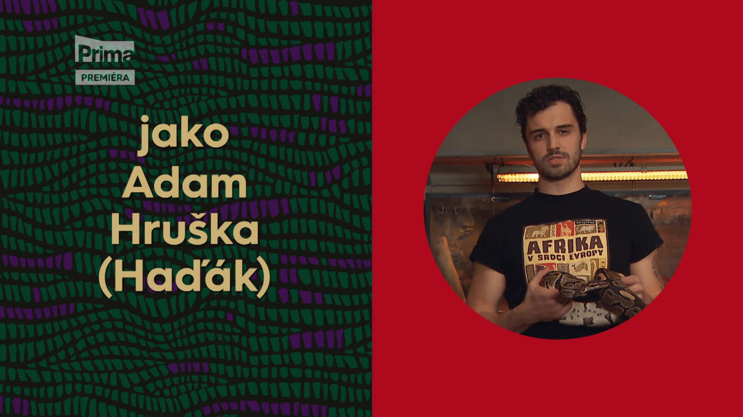 Náhled videa