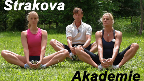 Strakova akademie (2.díl)