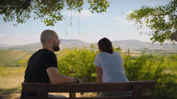 Pálava (6) – Buď práce, anebo já