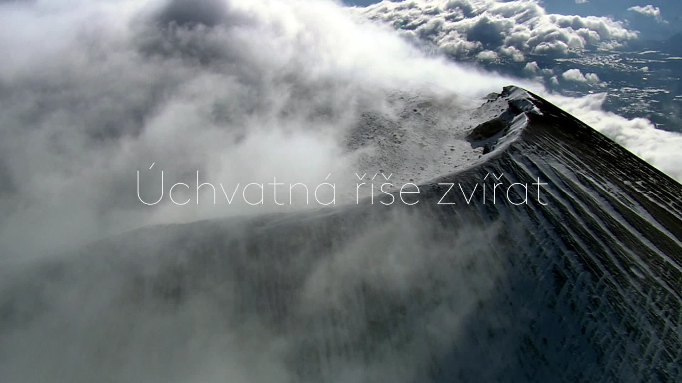 Rok v japonské divočině - upoutávka - Prima ZOOM - Prima Zoom