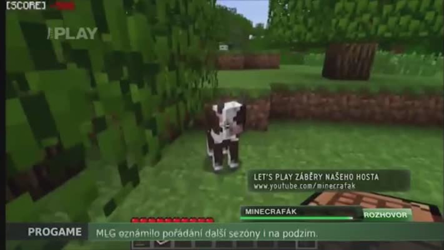 Náhled videa