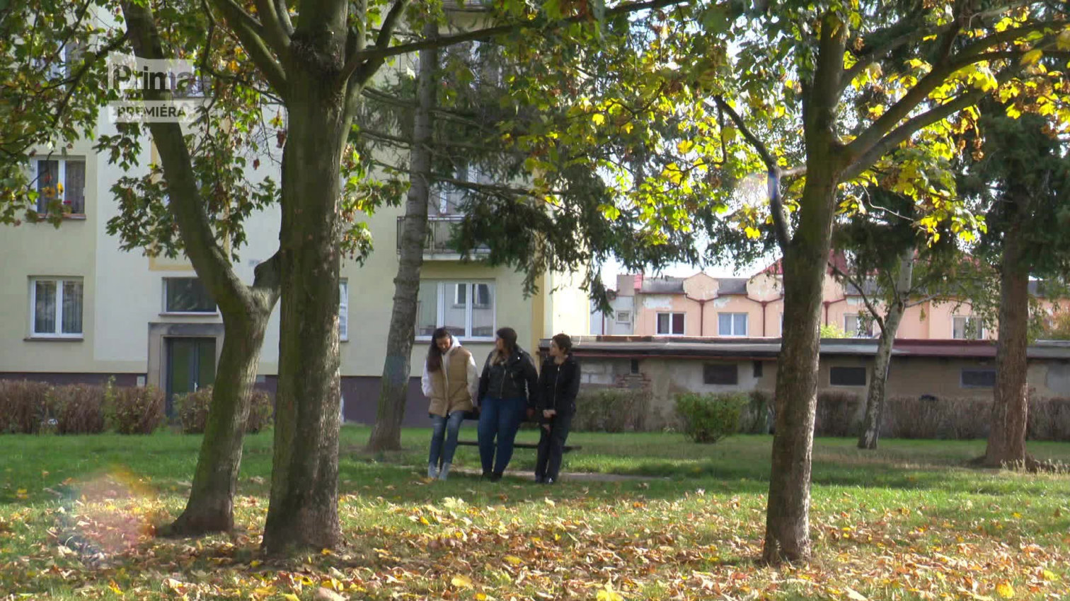 Náhled videa