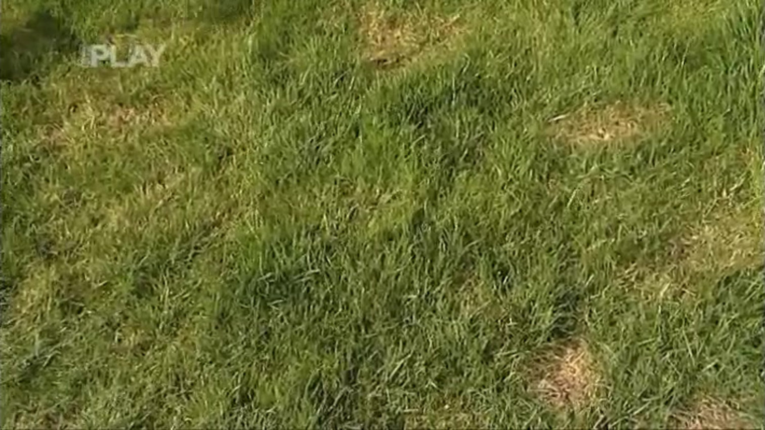 Náhled videa