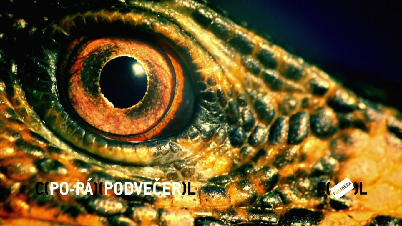 Kdo přežije: Filipíny (1) - upoutávka