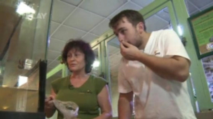 Náhled videa