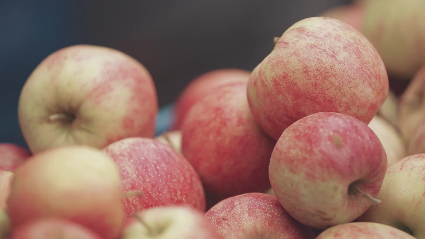 IDENTITA:UMĚLEC - Veronika Koko Kokešová (1)