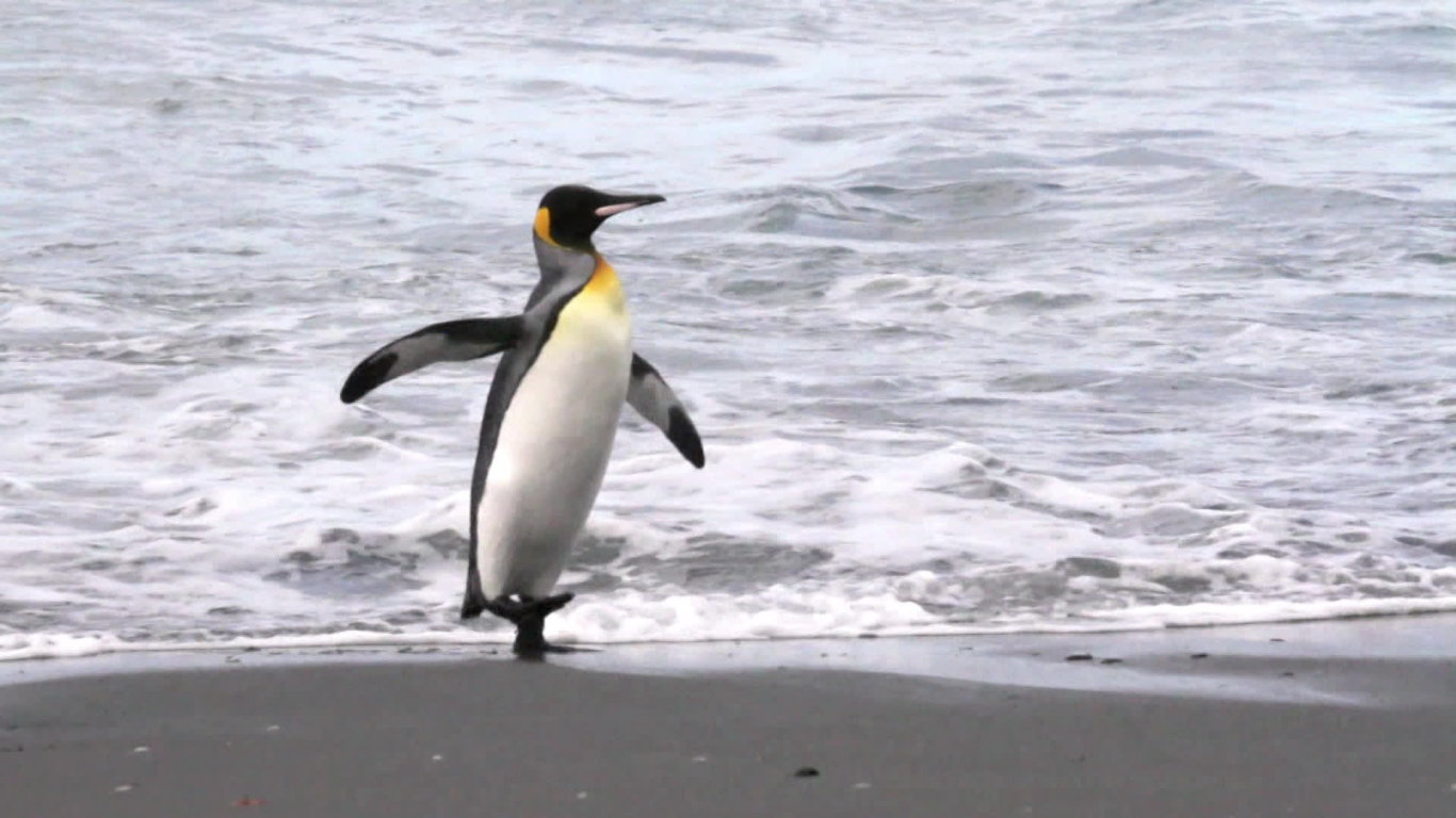 Největší zabijáci Afriky III (1) - upoutávka