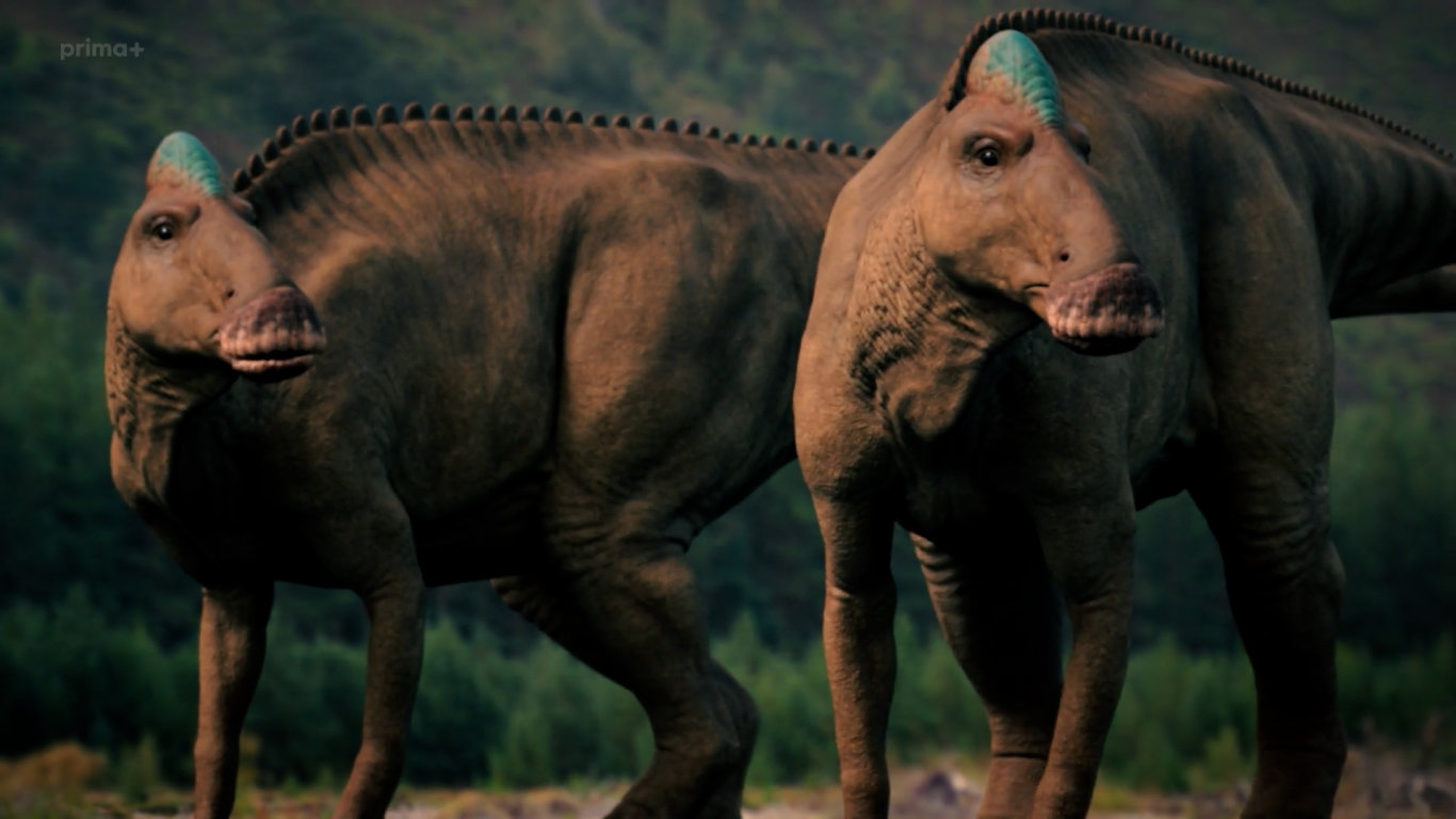 Nová putování s dinosaury (4) – smečka Albertosaurů