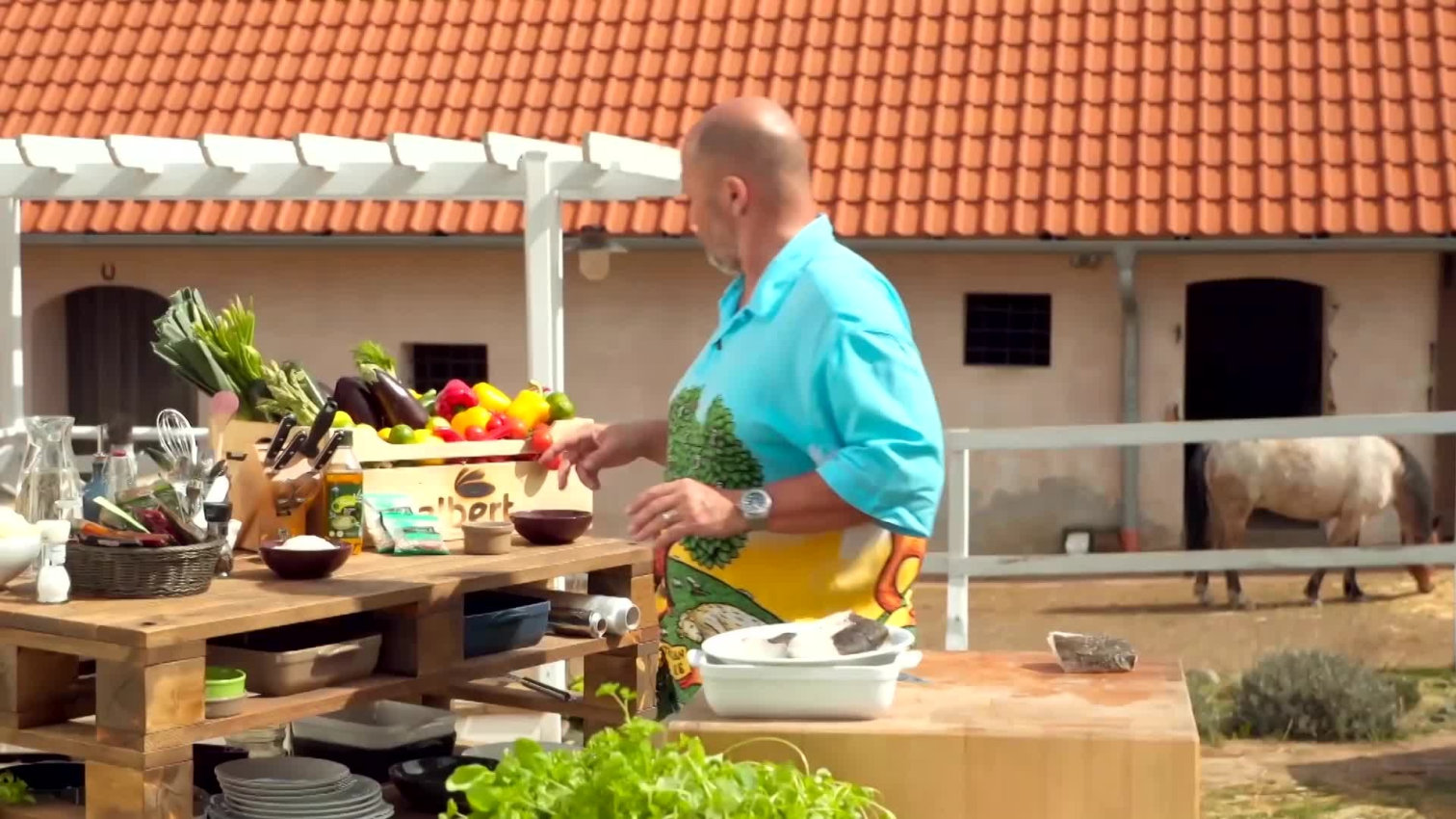 Náhled videa