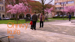 Ohnivý kuře II (25) - upoutávka
